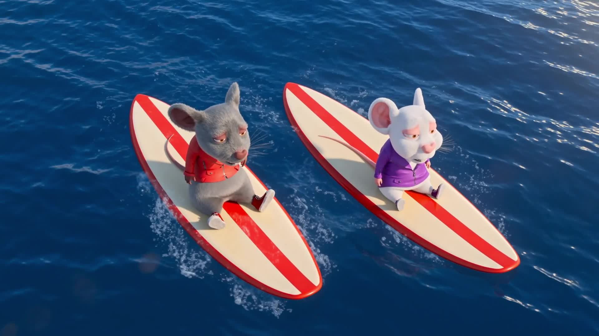 Surfing Lessons